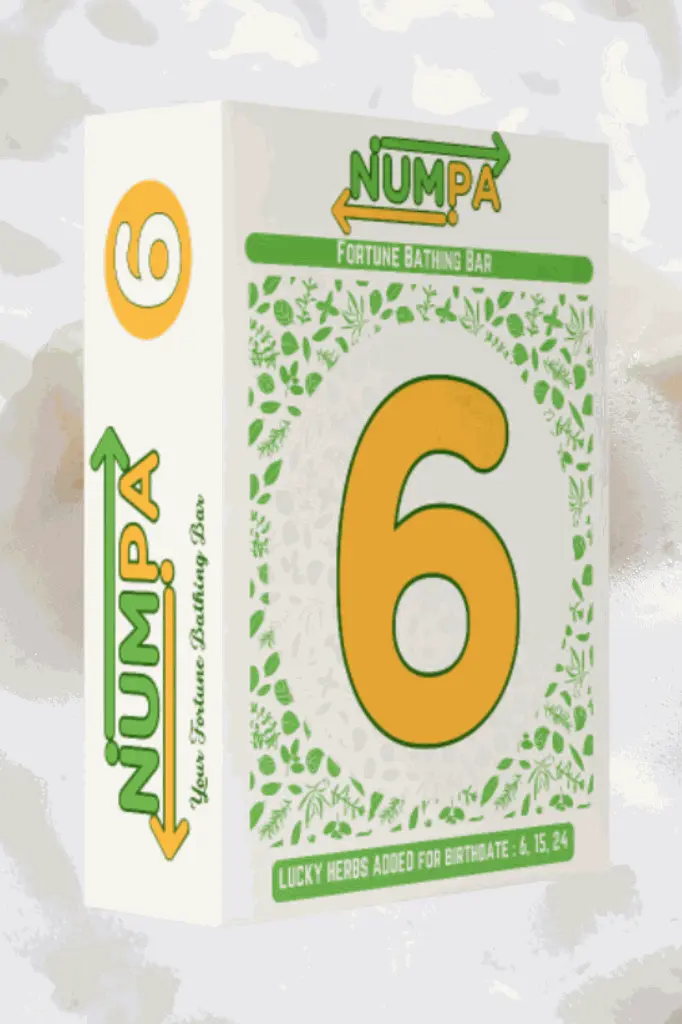 17.webp
