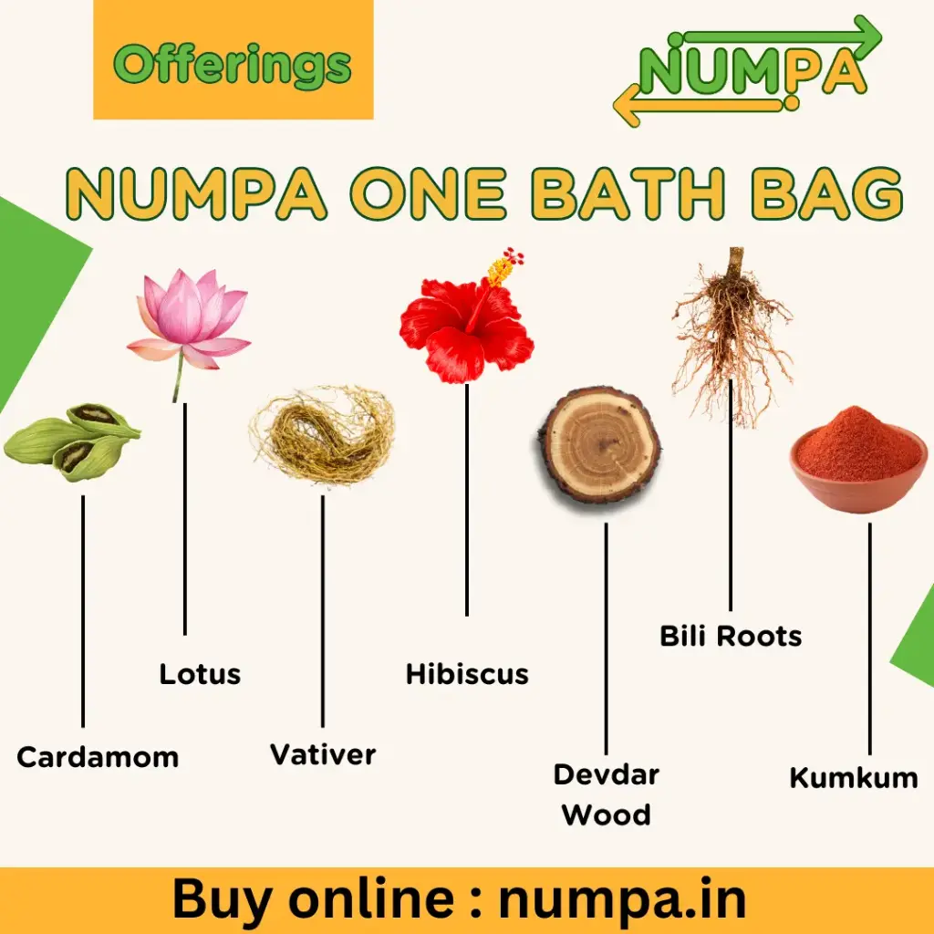 NUMPA ONE SOAP