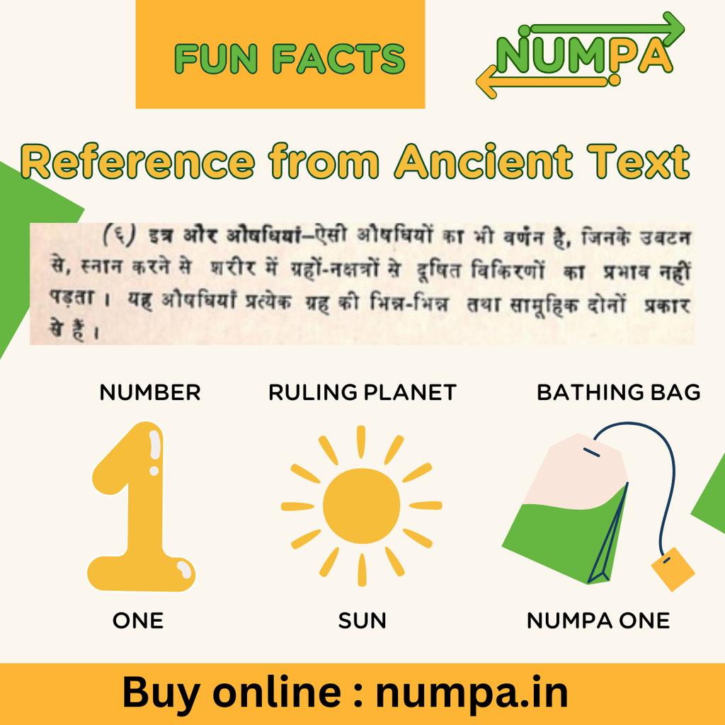 NUMPA ONE FBB (10 BAGS)