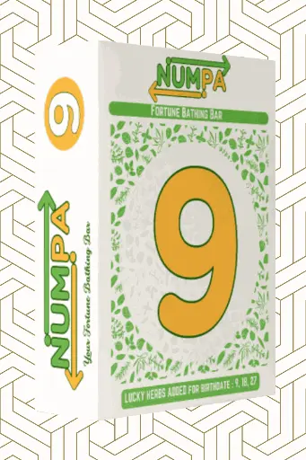 NUMPA NINE FBB (10 BAGS)