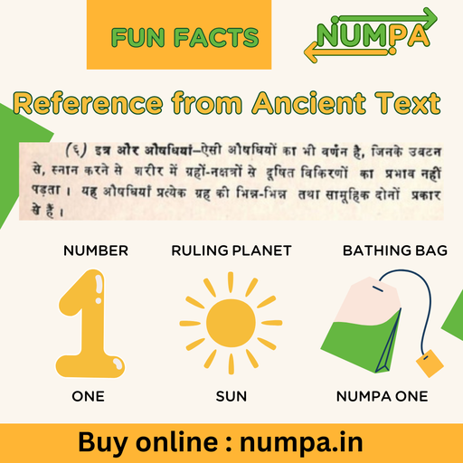 NUMPA ONE FBB (10 BAGS)