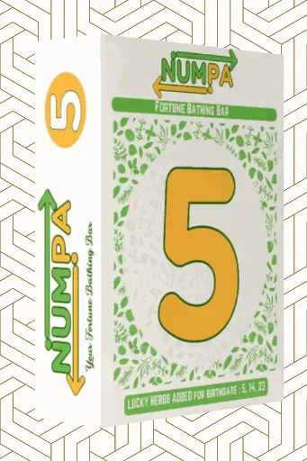 NUMPA FIVE FBB (10 BAGS)