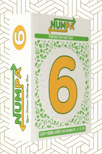 NUMPA SIX FBB (10 BAGS)